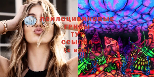 гидропоника Богданович