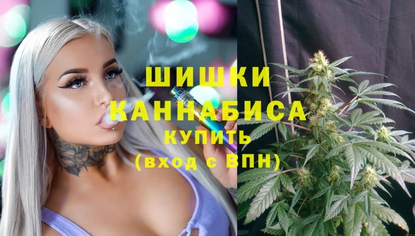 прущая мука Бородино