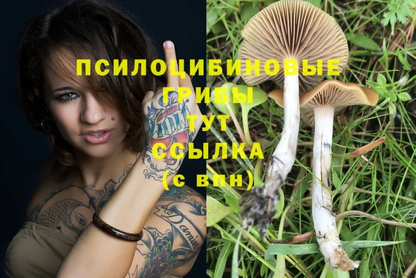 молекула духа Бугульма