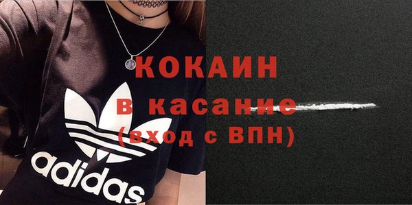 шишки Богородск