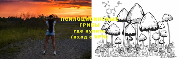 a pvp Бронницы
